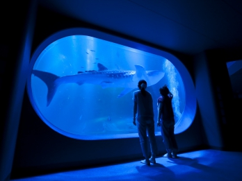 のとじま水族館