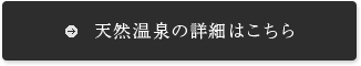 天然温泉の詳細はこちら